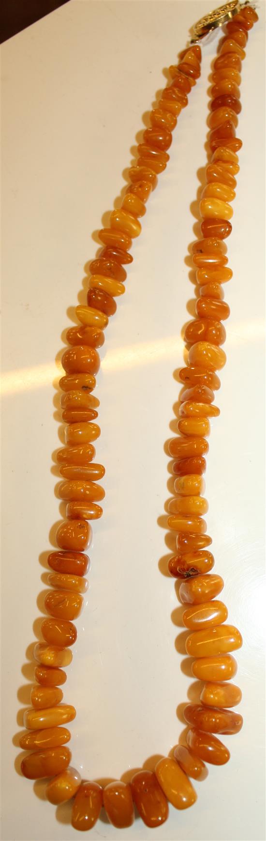 Amber necklace with gold clasp